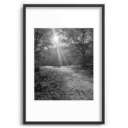 "Sunlit Solitude" by Maria Popova Framed Art Print Gallery Image 62
