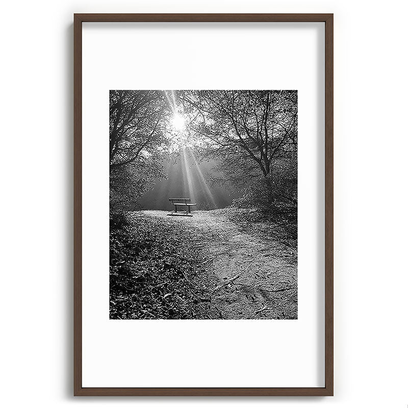 "Sunlit Solitude" by Maria Popova Framed Art Print Gallery Image 68