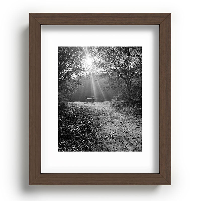 "Sunlit Solitude" by Maria Popova Framed Art Print Gallery Image 63