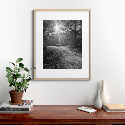 "Sunlit Solitude" by Maria Popova Framed Art Print Gallery Image 21
