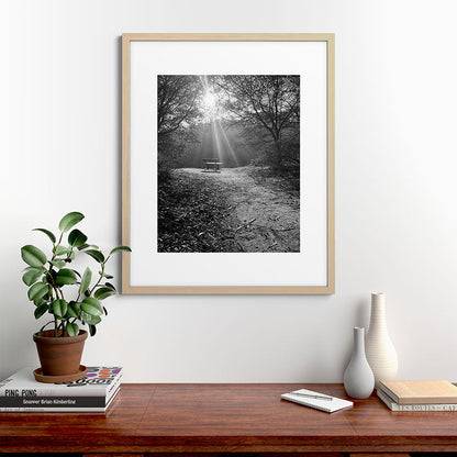 "Sunlit Solitude" by Maria Popova Framed Art Print Gallery Image 49
