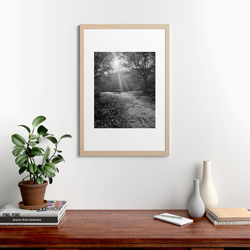 "Sunlit Solitude" by Maria Popova Framed Art Print Gallery Image 48