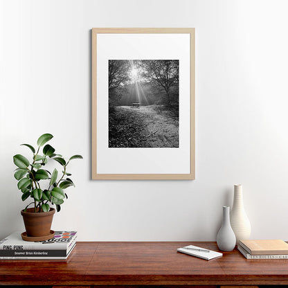 "Sunlit Solitude" by Maria Popova Framed Art Print Gallery Image 48