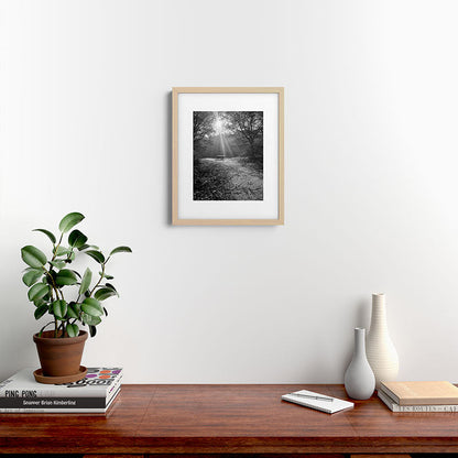 "Sunlit Solitude" by Maria Popova Framed Art Print Gallery Image 18