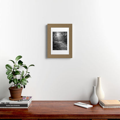 "Sunlit Solitude" by Maria Popova Framed Art Print Gallery Image 38