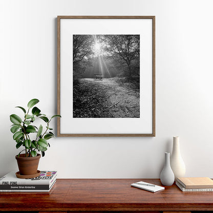 "Sunlit Solitude" by Maria Popova Framed Art Print Gallery Image 14