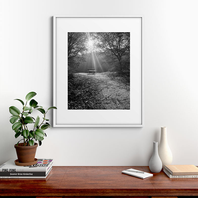 "Sunlit Solitude" by Maria Popova Framed Art Print Gallery Image 28