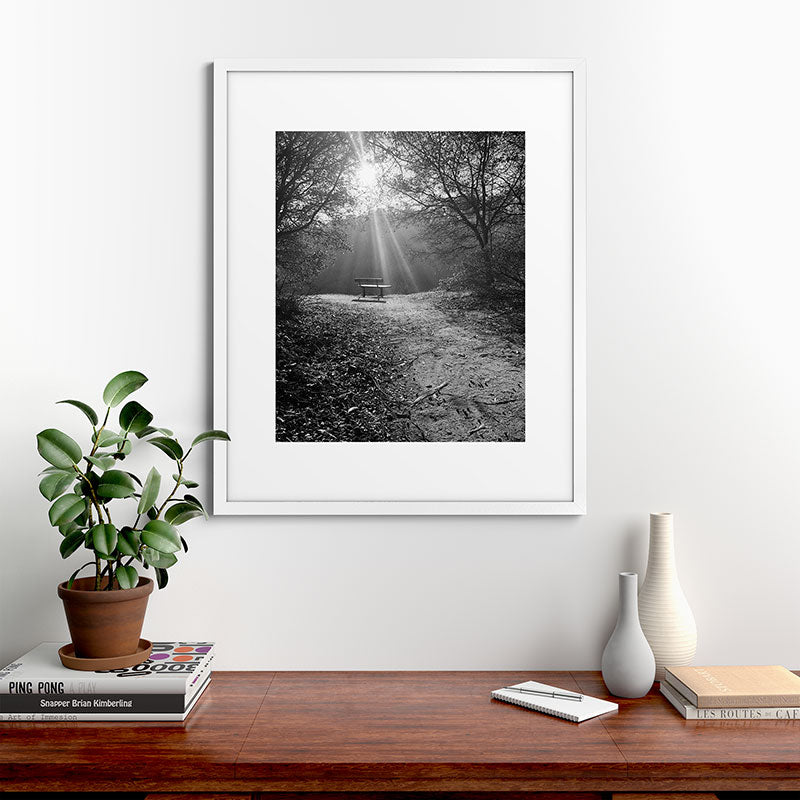 "Sunlit Solitude" by Maria Popova Framed Art Print Gallery Image 56