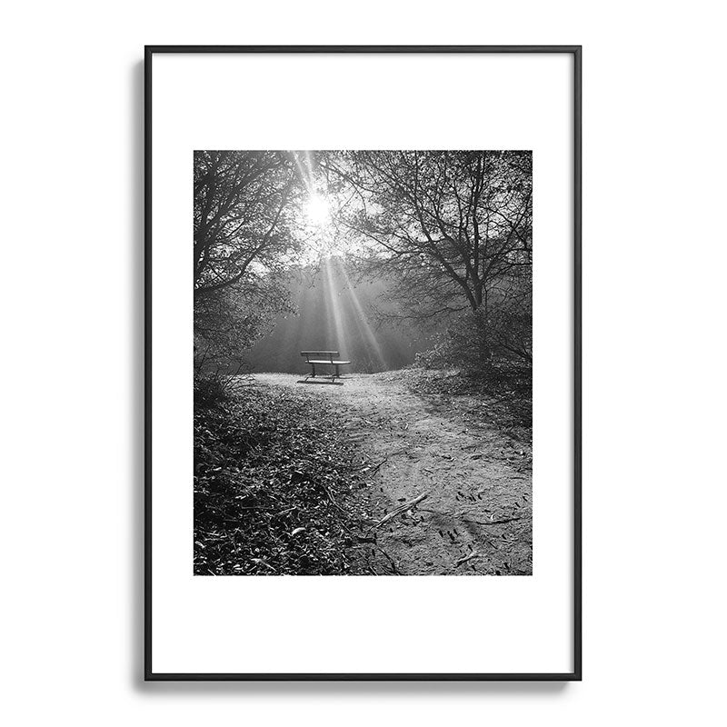 "Sunlit Solitude" by Maria Popova Framed Art Print Gallery Image 83