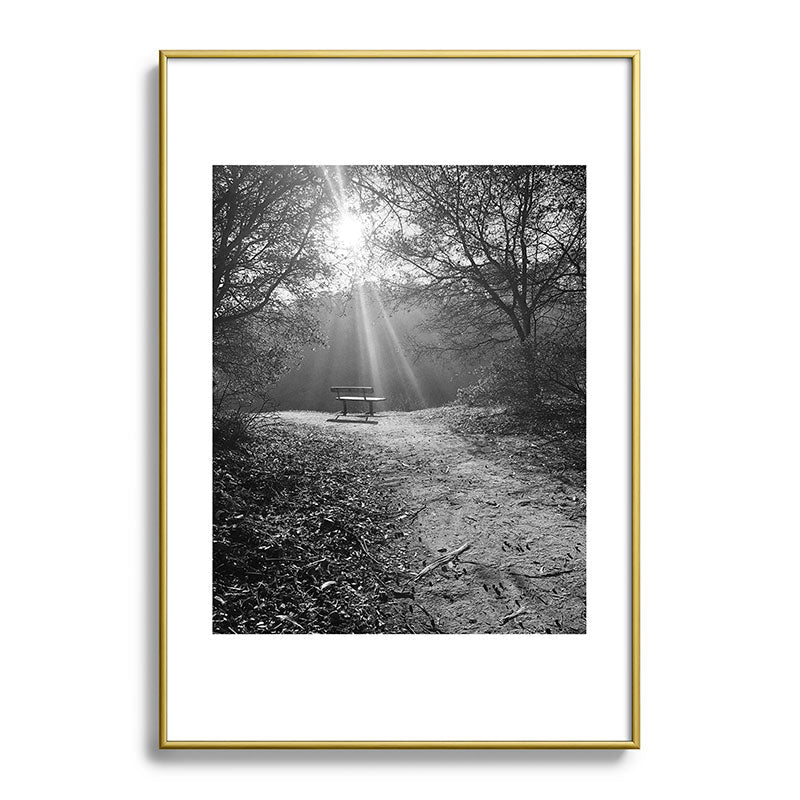"Sunlit Solitude" by Maria Popova Framed Art Print Gallery Image 90