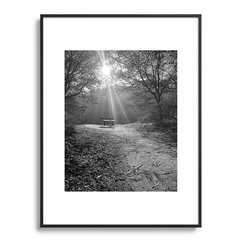 "Sunlit Solitude" by Maria Popova Framed Art Print Gallery Image 84
