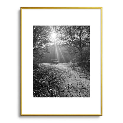 "Sunlit Solitude" by Maria Popova Framed Art Print Gallery Image 91
