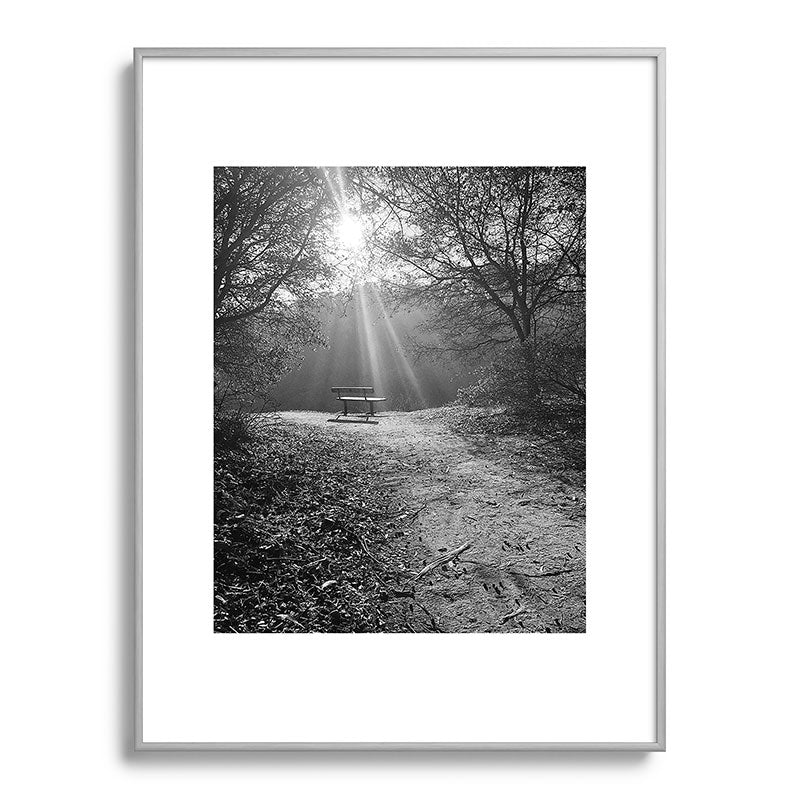 "Sunlit Solitude" by Maria Popova Framed Art Print Gallery Image 98