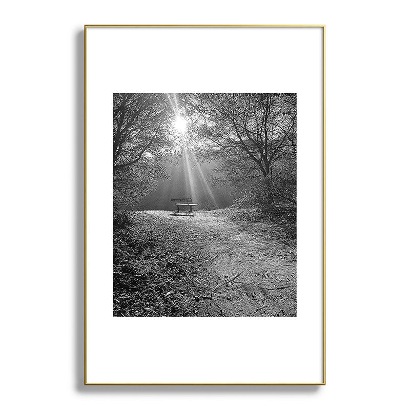 "Sunlit Solitude" by Maria Popova Framed Art Print Gallery Image 93