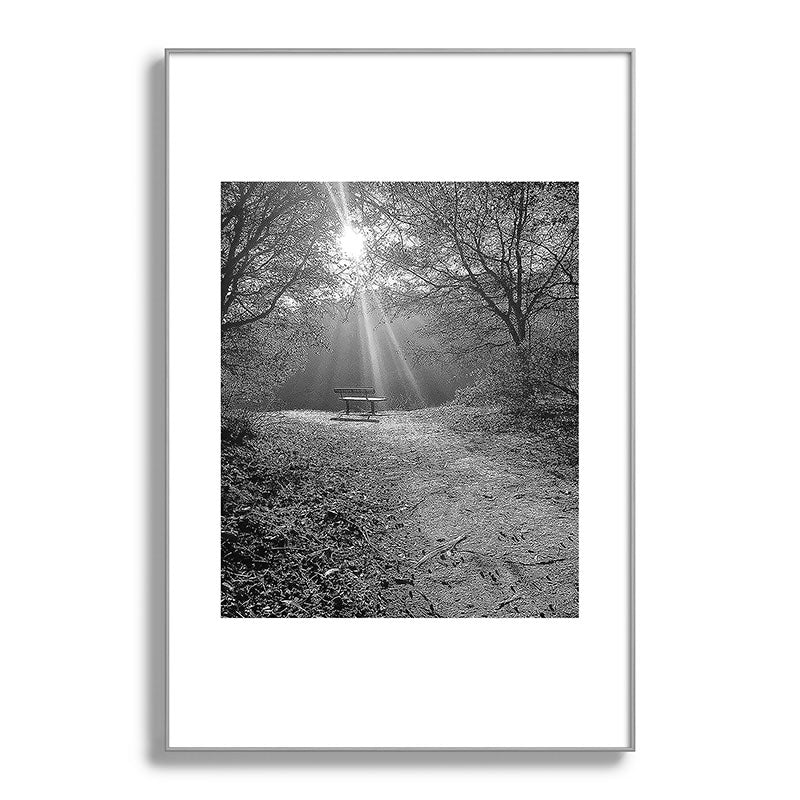 "Sunlit Solitude" by Maria Popova Framed Art Print Gallery Image 100