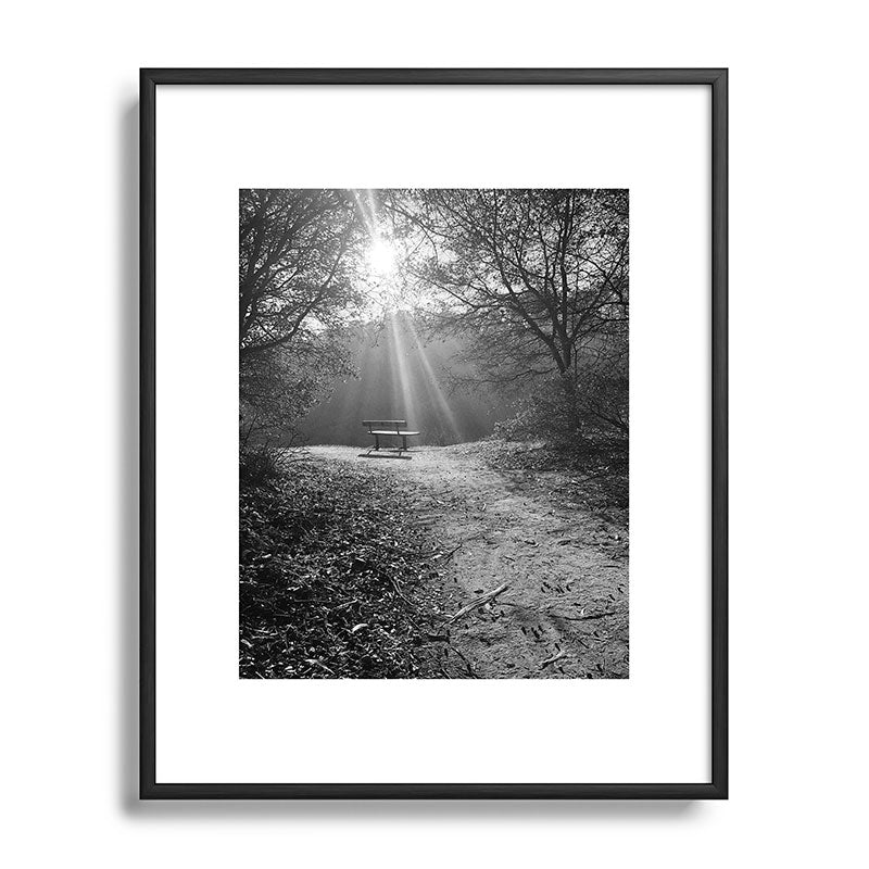 "Sunlit Solitude" by Maria Popova Framed Art Print Gallery Image 81