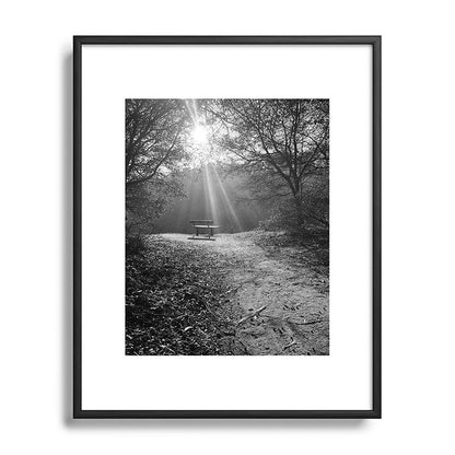 "Sunlit Solitude" by Maria Popova Framed Art Print Gallery Image 81