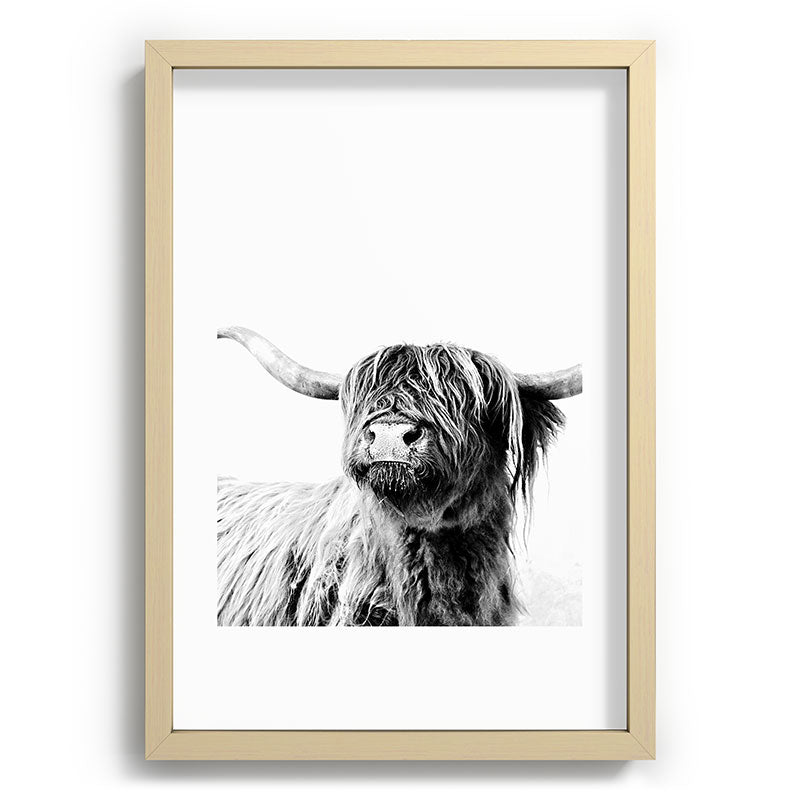 HIGHLAND CATTLE FRIDA Framed Art Print Gallery Image 97