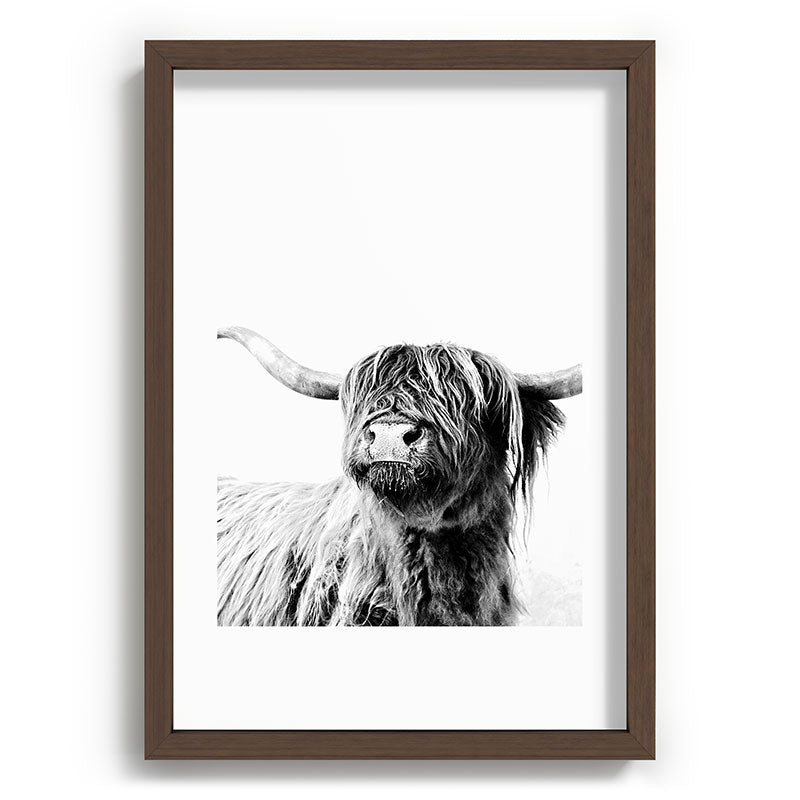 HIGHLAND CATTLE FRIDA Framed Art Print Gallery Image 89