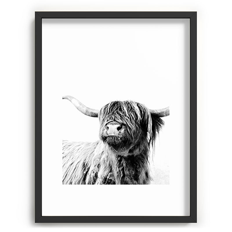 HIGHLAND CATTLE FRIDA Framed Art Print Gallery Image 84