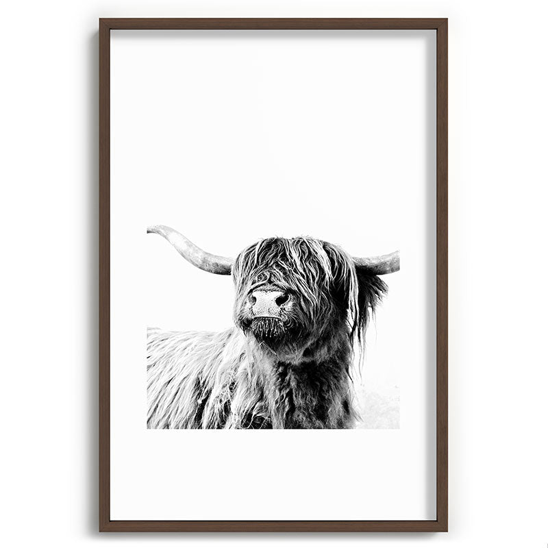 HIGHLAND CATTLE FRIDA Framed Art Print Gallery Image 94