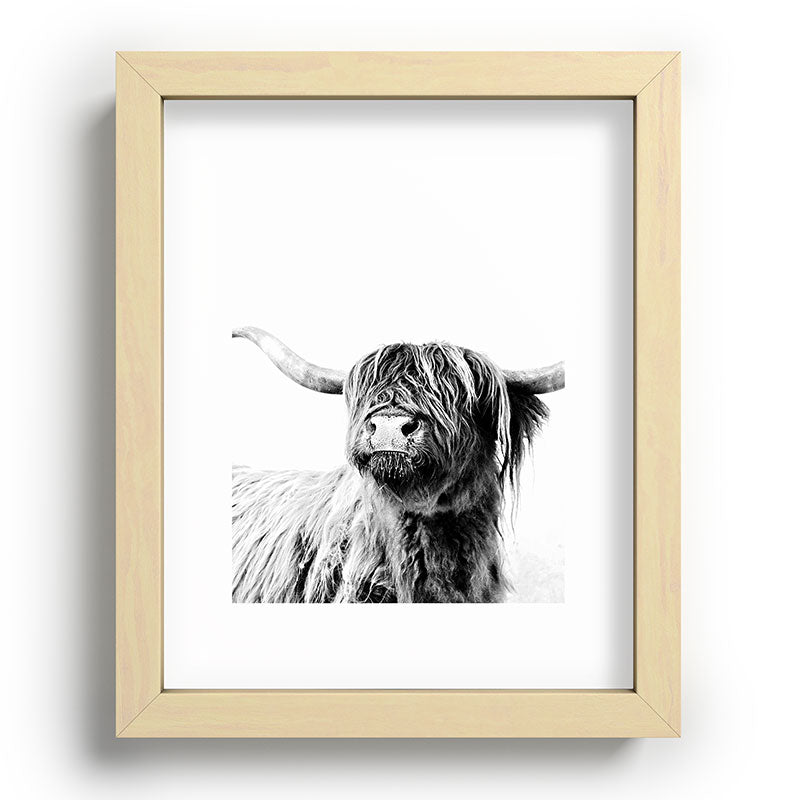 HIGHLAND CATTLE FRIDA Framed Art Print Gallery Image 96