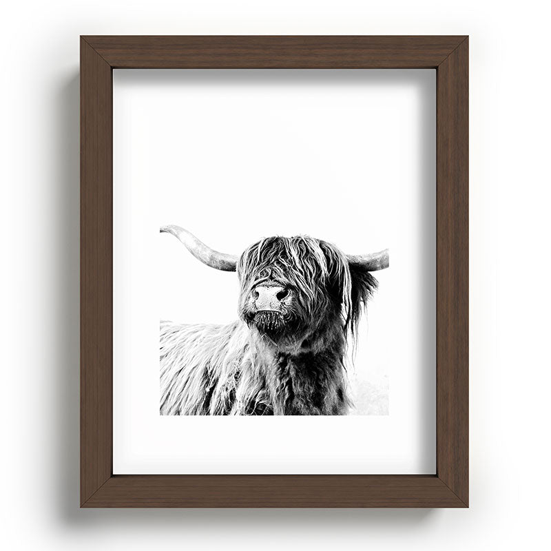 HIGHLAND CATTLE FRIDA Framed Art Print Gallery Image 88