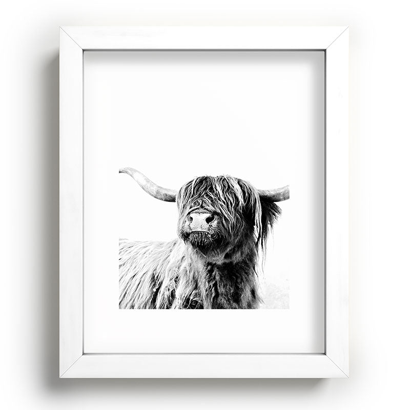HIGHLAND CATTLE FRIDA Framed Art Print Gallery Image 103