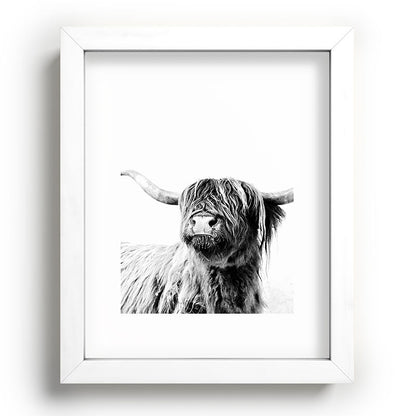 HIGHLAND CATTLE FRIDA Framed Art Print Gallery Image 103
