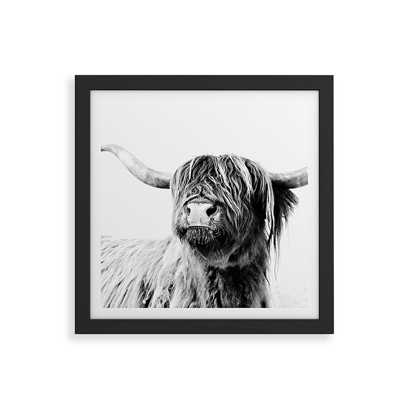 HIGHLAND CATTLE FRIDA Framed Art Print Gallery Image 50