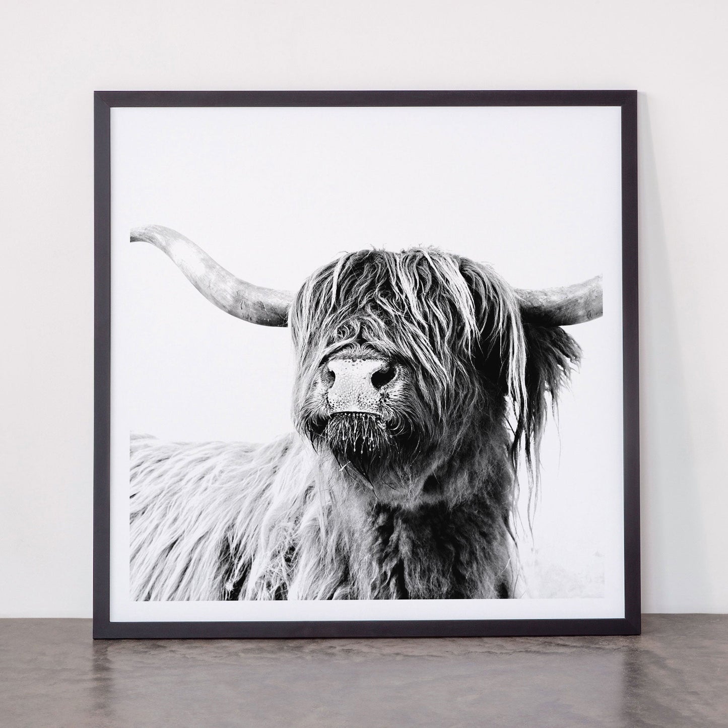 HIGHLAND CATTLE FRIDA Framed Art Print Gallery Image 55