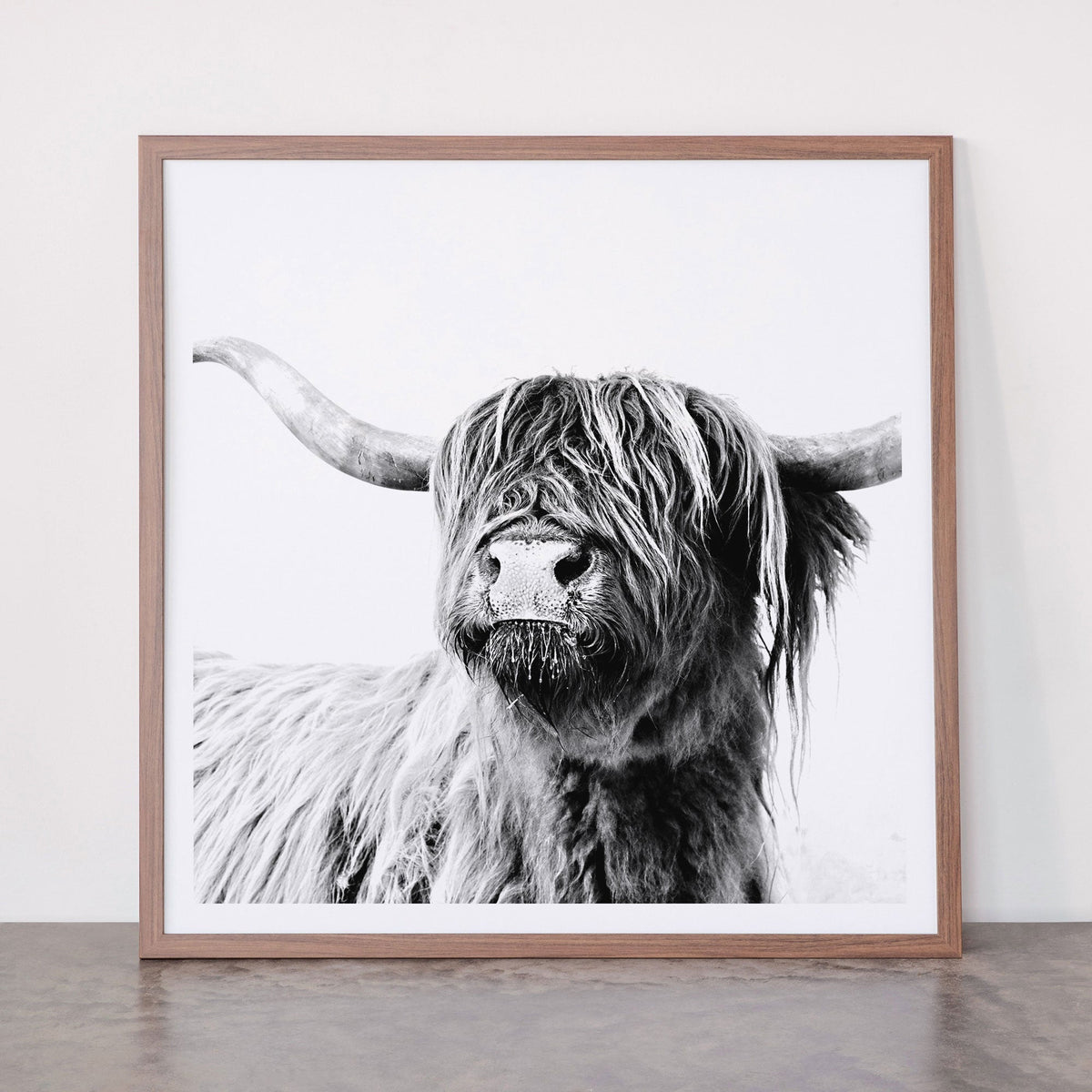 HIGHLAND CATTLE FRIDA Framed Art Print Gallery Image 66