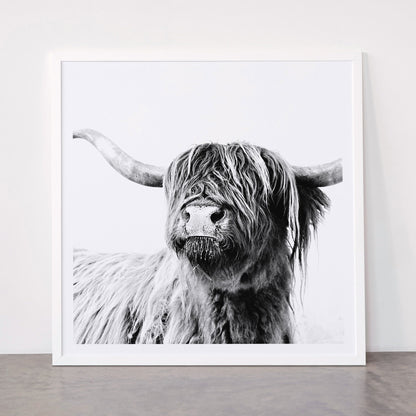 HIGHLAND CATTLE FRIDA Framed Art Print Gallery Image 87