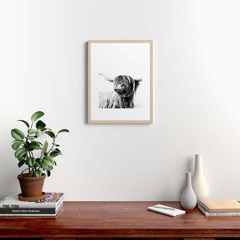 HIGHLAND CATTLE FRIDA Framed Art Print Gallery Image 26