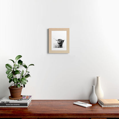 HIGHLAND CATTLE FRIDA Framed Art Print Gallery Image 61