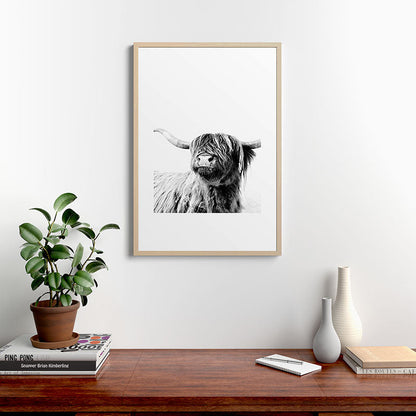 HIGHLAND CATTLE FRIDA Framed Art Print Gallery Image 28