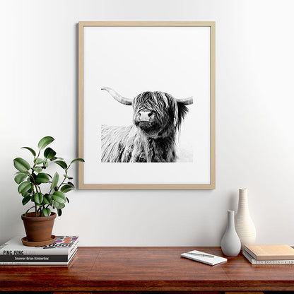 HIGHLAND CATTLE FRIDA Framed Art Print Gallery Image 67