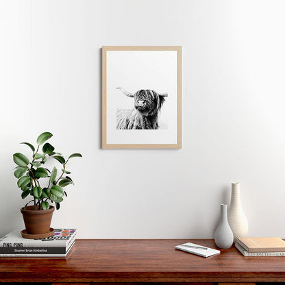 HIGHLAND CATTLE FRIDA Framed Art Print Gallery Image 64