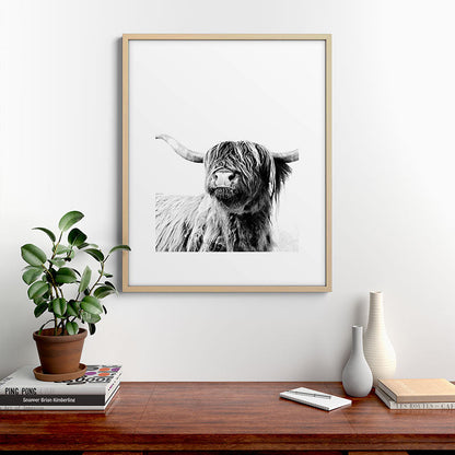 HIGHLAND CATTLE FRIDA Framed Art Print Gallery Image 29