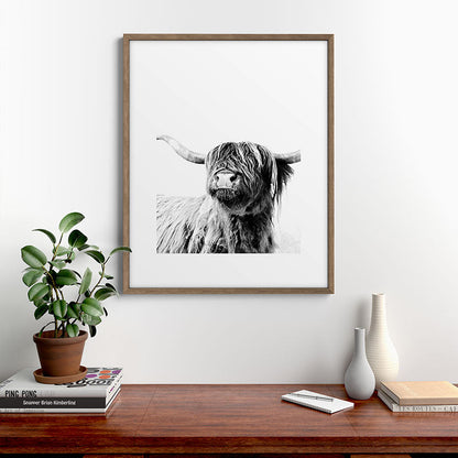 HIGHLAND CATTLE FRIDA Framed Art Print Gallery Image 19