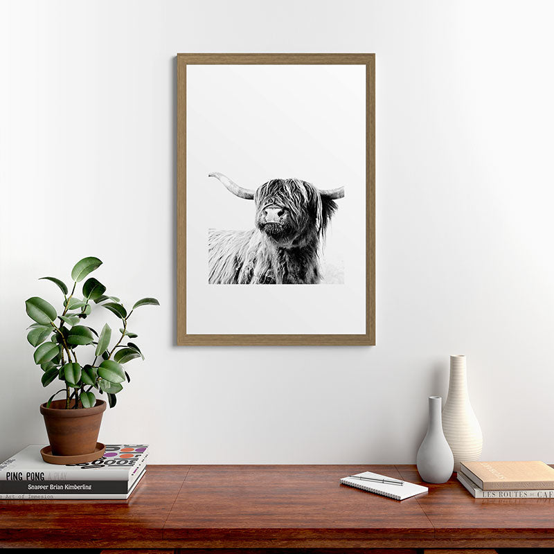 HIGHLAND CATTLE FRIDA Framed Art Print Gallery Image 56