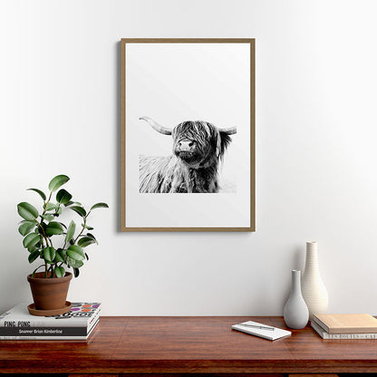 HIGHLAND CATTLE FRIDA Framed Art Print Gallery Image 18