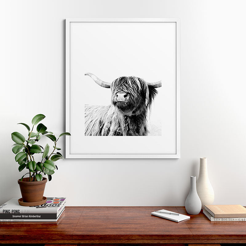 HIGHLAND CATTLE FRIDA Framed Art Print Gallery Image 76