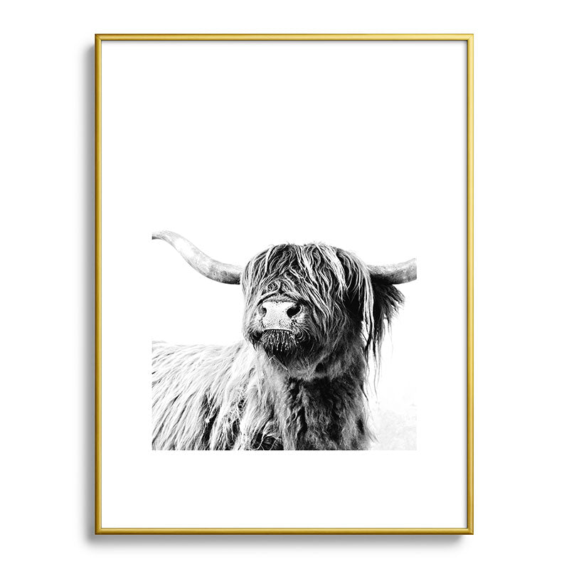 HIGHLAND CATTLE FRIDA Framed Art Print Gallery Image 125