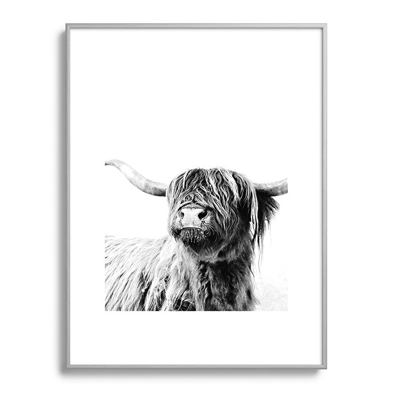 HIGHLAND CATTLE FRIDA Framed Art Print Gallery Image 135