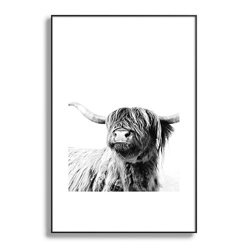 HIGHLAND CATTLE FRIDA Framed Art Print Gallery Image 117