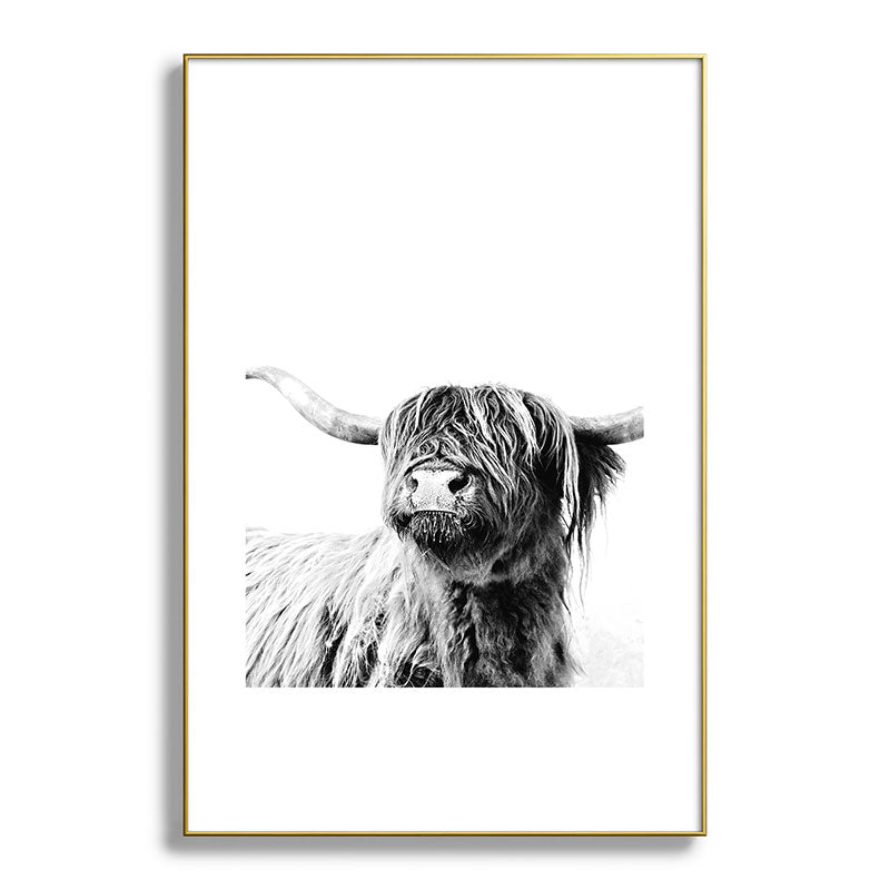 HIGHLAND CATTLE FRIDA Framed Art Print Gallery Image 128