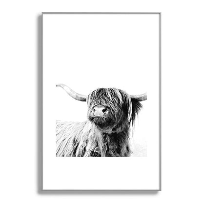 HIGHLAND CATTLE FRIDA Framed Art Print Gallery Image 137