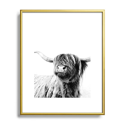HIGHLAND CATTLE FRIDA Framed Art Print Gallery Image 120
