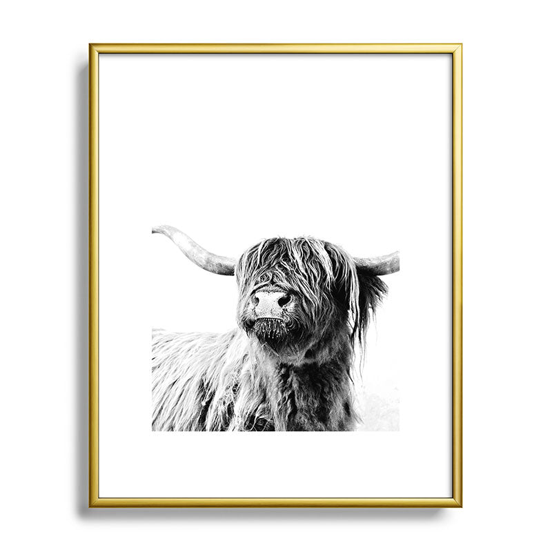 HIGHLAND CATTLE FRIDA Framed Art Print Gallery Image 121